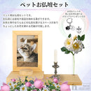 fffffbbffffbffefddf7fff5e0ffe0f1e0f9e0e1e0ffe0dbe0fbc0fbc00188d09e989c9a9e0000aba4220018a7190000