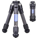 fffff879fcf9f039f039f039f4b9e5b9e599ecdbcccfcccfcccf9cc7fcfffcff0000000000b1b30000b3000000000000