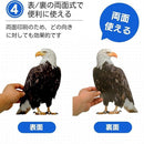 ffff90f1b7e7fde089f3fffffbf7f9eff1e3e1e3a18103012739ffffc1e9ffff000000000000009a000c001516141100