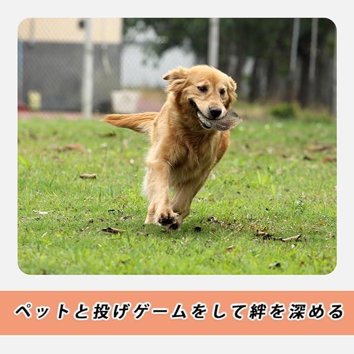 fffffc008c008bc088008b008900bf0081008317f32082888000ffffff3fffff0000000000301632001f1f3400393737
