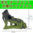 00000402000420800000effdc7fdc7fdc1fdc03dc00de805e805e003effbffff5555555555555555009b006b00006b34