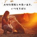 ffffffffd7e7ffffffefefffcfe00a000001000100000800040000000000000000000000000000000c0a09120906060e