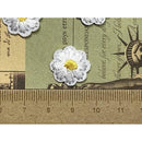 4ef77c6f763f6433a4dce3e7e5edfffc0fc798ce1ea0494809993660020040001fa42d231e2b2b2c172b2b281b1c1d1b