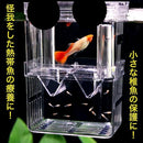 0000118f518f02180e3c0edc1f985f1d1ffc133411045000420500052d3831d8000000bc0009a4e100c1d0cb00970090