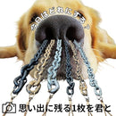 fffffbcff1fbe40be40be00be19b0818220ef20fe10fca0fc657dfddf7f5b52700001f000017b61d171d8e8f001c9118