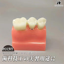 fff80ffe000080009600fff0fef0fe00f000e000f000f000f0008ffcd7b3988b1f241b1e201e2424130707240f04050b