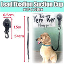 fffffad7ffdfffffff86ce908efcce80cf80c688fe80fe80fe90fe90ff9cff96e4d5d5d50000009f0000756b00000015