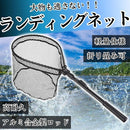 00ff0fbf08c7427f003bcbf1ffc3ffb06b725c403ec4bda0afe74fe20ffc097f8e8d91978e8c95996c00eb90909c97c7