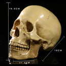 0000200023f023f827fc2ffe2efe367e37fe3ffe3e0c0c7c0ec01fc00e800000000000002b331c1e00151d1e6b1c1c10