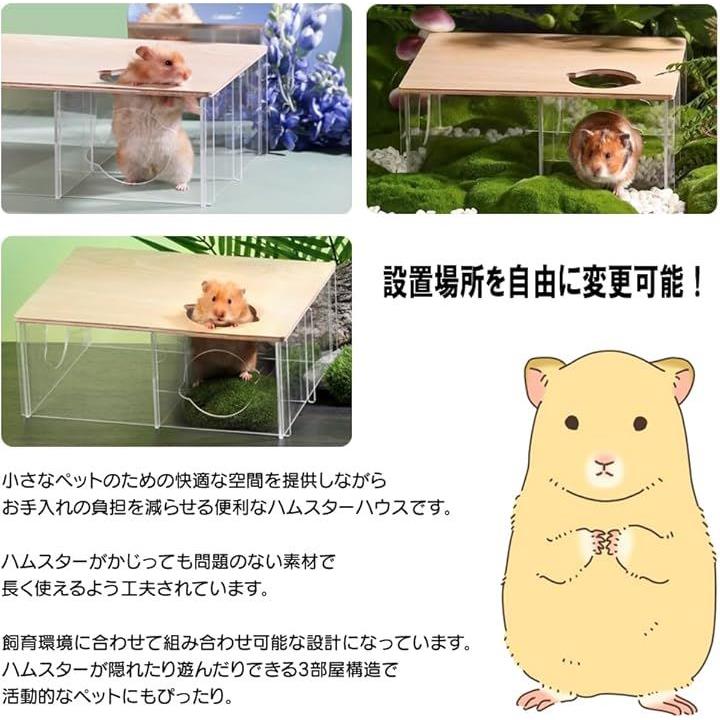 ffff8180e4b8a8808380ffffafd1faff80f680ffffff92fbffffcdffe4dfffff0000000000142b310032002200000022