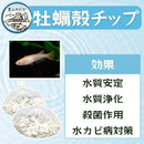 ffffd000c790d000ffffc1ffc1ffc118c100ffc7ffffffe7ffffe7cffffff5ff8e8b8e8a8f8f908e8b1b8d8d8f9c0000