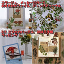 ffffa6a3c1e8d7cad194cdc0c280cdc2a2c382bcfcb8f7bea7a08aa4e2bec380802b808000182b222b006b0100018017