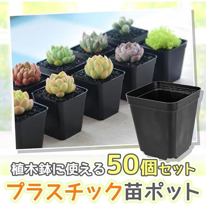 50個 植木鉢苗ポット 水耕栽培ポット 多肉植物の容器 ふさわしい plant pot