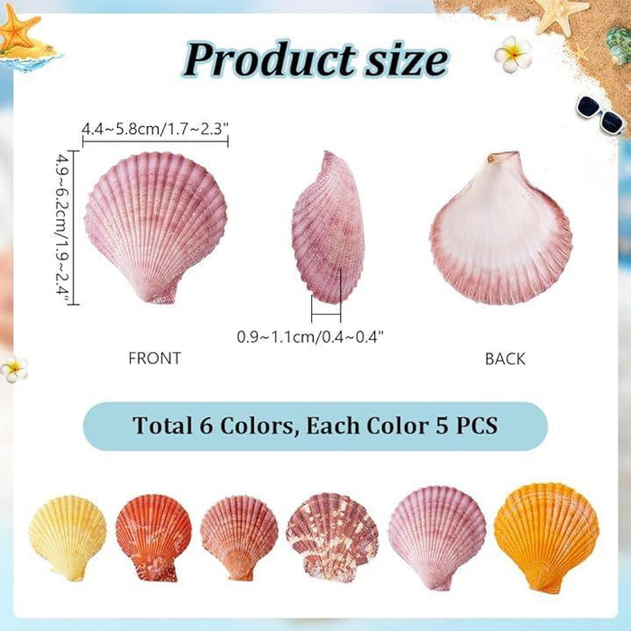6カラー 30個入り カラフル 貝殻セット パーツ アソート 天然素材