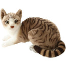 ffffffffffffffffdbffc3ffe80ff007f803f803fb03ff01ffc3ffffffffffff0000000000000000001e161200000013