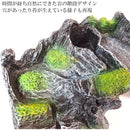 ffffafcfff9fffe6ff00fe00f84298a389b980c08b00c940e051c080c407e003000000000000bdde000443de0015a429