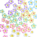 f30ff308e4f8e46bbf4db0c1d310c003942b80e1e69fadcce9e45d4b4d4dfb6f00bcc20000002b91006bb600e09afdfb