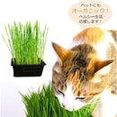 fffffffffffffbeff3f3c1e3c3f7c303c383c101c303ff05fc19fae3f077f027