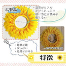 ffffffffe0dfc07fc47fce3f8e3fc040c040e1c0df40fbc0ffc0ff00ff5cffff02d5000b00152630002027190000001f