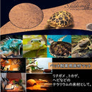 80039e1bbcffbfaf9ee7ff278000af33ef80e800f3f0b3ffe2ffc828ce00b304