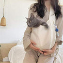 ffc1bf81bf00bf04ff0cbe06be0efe34fe7efefefc7efc340e1d1e011e035e051f151e0b1e1a121000a213171f1f0c16