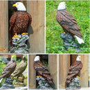 ffffdfd8c7ea43dcc3a083c6c181cb83db885386e6232c7944399c3104674435d580d58018092b8b21a4008c402bb21e