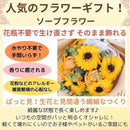 ffffe7affffffe1fde4eff9f83068300ff00ff00c1008001ffffffffffffffff18222226231f016923ff171921000024