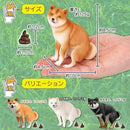 a0e0fc504b164100a5c0c187004753d7b7d783fe7d815c804d11f1d809c09ca04b56445f644e15a9625c16b55c5f6b5c