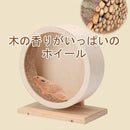 ffe4ffc0ffc0ffe0fdf3e3bdf0f7f1c7e0d7f017f007f03ff87ff38ff603ffaf1d1d1d0e1d1d15211d1216131d1d0d1d