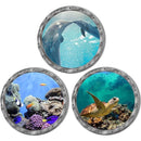 fffffe3ffdcff98ff8eff90ff8cffd0fe2a3cec08080ab8480888080c1c1ebeb