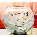 fff9fdf9fdf9effdfffdfffe7af66ffc7b5e1ffe0ed602dc021c20f3f0a5f80d