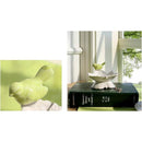 ffffff9cff9cff9cffd4ff98df9bdb8e9b9f839b9b87bd0cdd00c900c520ef000000008000002b372e2f3237312c5246