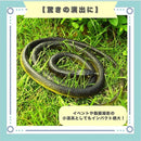 fffff98fdffdc001c001c201e603f001c001c401c001c401c0f1c1e7c1ffffffb39380938235383f82382e2882382935