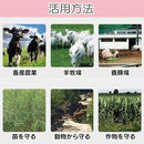 fffffdfffffff00097ffb06e8088a084e73dffff901b8022802080008060fef3f7f7f7f7004771471c00001c0044b23c