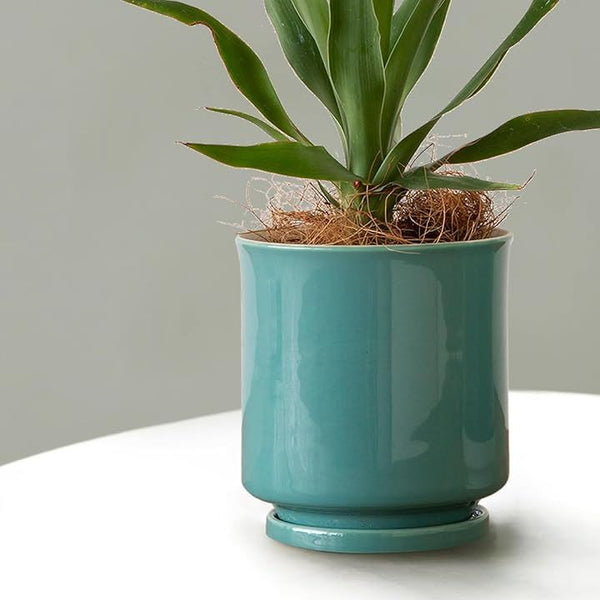 f707fd0ffe0bfc9efc4bff83ff03ff03ff83ff03ff03ff83ff83fe83ff03ffc332393a2e3030373032327f6f3000806e