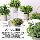 f9fff37ff07f56030ec30fcfd7e0ffe0dc3ff832f452fff03aa0d6e0f3e0d8b800ebc9c43532ca3999c930f70000003a