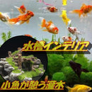 fffffffff3bc7beff7ffffffffffc1ff849900007801000053003c000c0042339387873c8b19178741942eff2241b33f