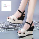 fe66fe6efe6ffecffecfff0fff8dff0cff1cffcbe310ddf0807250ec18fb6c13a29ea510a200020ba11c000b95779700