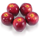 fffffffffffff9cff087f00ff083c005c000c000c001e013f80ffe3fffffffff