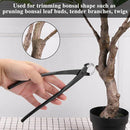 000000000000fbebfffaf3f1f3f9f7f9fff91a0905b9a07de4fdfbfdf7f0fff0