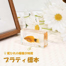 cfffefffefffefffe6bcf7ddf32fe1a7078b0a6f7e2ffdefffffd8ffc7ffcfff12332222eb11121e070f151c121b150f