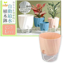 fffff100d800d804f800f386fb82c382c202c7e0fff1fff1ffe1ffe1ffe1ffe1000000000080303000093d8e00000010