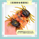 ffffb80e7ffffeff7f9f7c07fd07f0056207c007c01f401f403fc10f41ffffffb3938093820080008209092082072b00