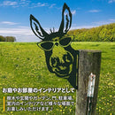 f827ffbffffffbfffbfc7c13e83f3e04400010110a1010906556000054007a02929290909c9a99182f30432e332c3424