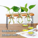 ffffffffffeecca9f40fe7afe005e727fdffffff043000000001270e01f14a3b