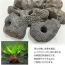 f361f030c044c003e000d500ca438503c101e303ff8781ff81ff81ff81ff81ff2b1917172b1f202b0017321b00430000