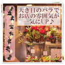 ffff8100a7dd97ffa2dcf7fabffea004b085b0009402b00cb100f297b00cb00100000000000e040900171c20000f0f11