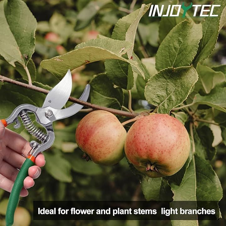 0108aa21bd32cbd24f80203136190a12dd6cabbde9fcf89c8800a0004004833f202726252b26213330000f1a012e1e1c