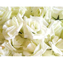 f61fe63f64081ef83ffc3ff77fff39fe30fc30fc30f2106641740077c073c879