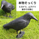 ddff93f959ff112781ab03ff0de789c2fe47f802000f8017801fc0feb078128f33350000353200003232ae3032323131